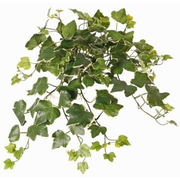 Umělý závěsný břečťan ARJANA, křížová dvířka, zeleno-bílá, 50cm Umělý závěsný břečťan ARJANA, křížová dvířka, zeleno-bílá, 50cm