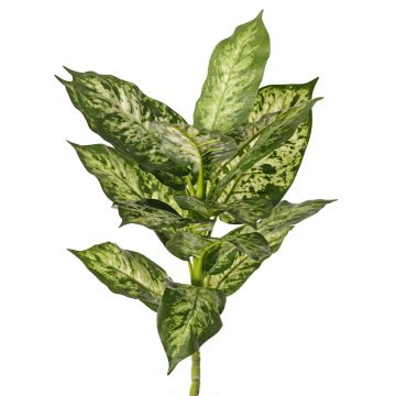 Umělá Dieffenbachia VISP, nehořlavá, zelenobílá, 40cm Umělá Dieffenbachia VISP, nehořlavá, zelenobílá, 40cm