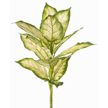 Umělá Dieffenbachia VISP, nehořlavá, zeleno-krémová, 40cm Umělá Dieffenbachia VISP, nehořlavá, zeleno-krémová, 40cm
