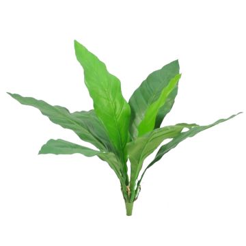 Umělá rostlina lilie klubovitá WORB, křížová dvířka, zelená, 70cm Umělá rostlina lilie klubovitá WORB, křížová dvířka, zelená, 70cm