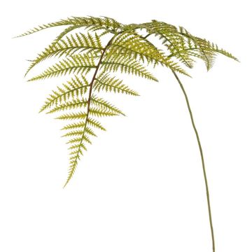 Umělý list kapradiny mečík HINWIL, zelený, 80cm
