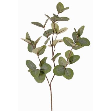 Umělá větev eukalyptu EMMENDA, zelená, 80cm