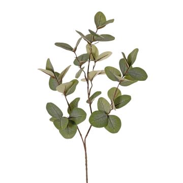 Umělá větev eukalyptu EMMENDA, zelená, 80cm