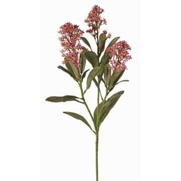 Textilní větev skimie LAUSANA s květy, fialová, malvový, 65cm, Ø7cm Textilní větev skimie LAUSANA s květy, fialová, malvový, 65cm, Ø7cm