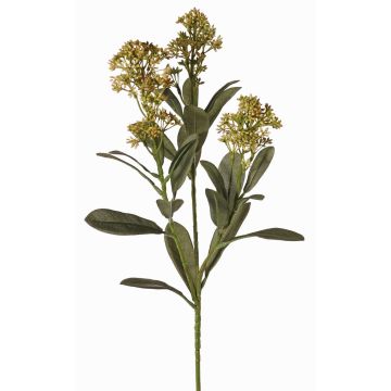 Textilní větev skimmia LAUSANA s květy, zelená, 65cm, Ø7cm Textilní větev skimmia LAUSANA s květy, zelená, 65cm, Ø7cm