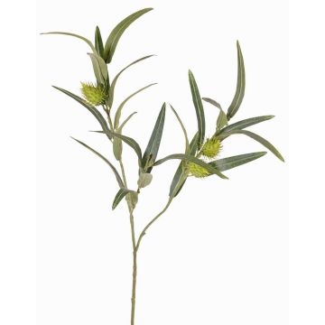 Unikátní balónová ostrožka TASMIN, zelená, 65cm Unikátní balónová ostrožka TASMIN, zelená, 65cm