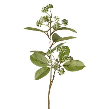 Umělá větev dřínu PANGO s pupeny, zelenobílá, 70cm Umělá větev dřínu PANGO s pupeny, zelenobílá, 70cm