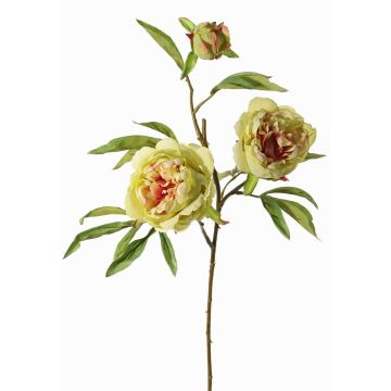 Umělá větev pivoňky MANJA, zeleno-růžová, zeleno-fuchsiová, 70cm, Ø8-10cm Umělá větev pivoňky MANJA, zeleno-růžová, zeleno-fuchsiová, 70cm, Ø8-10cm