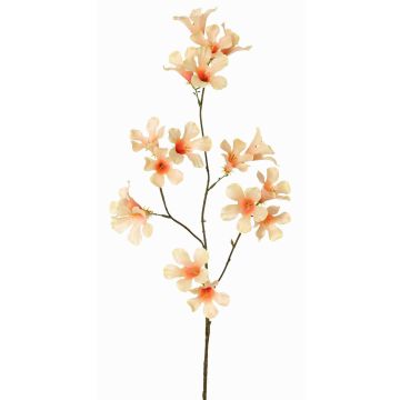 Umělá jasmínová trumpeta AURINA, broskvová, meruňková, 90cm