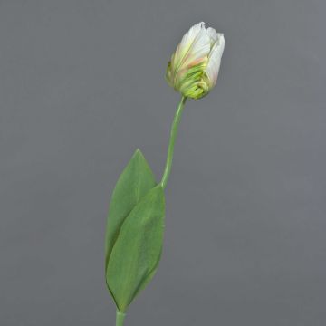 Umělá květina papoušek tulipán UAKARI, bílo-zelená, 65cm, Ø6cm