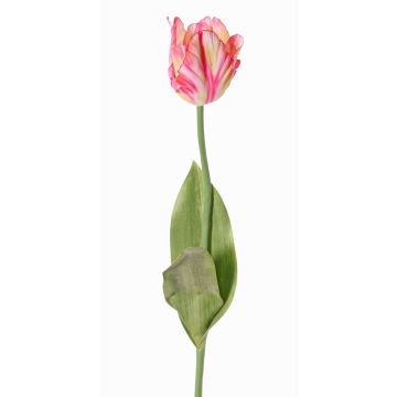 Umělá květina papoušek tulipán UAKARI, růžovo-krémovo-zelená, 65cm, Ø6cm Umělá květina papoušek tulipán UAKARI, růžovo-krémovo-zelená, 65cm, Ø6cm
