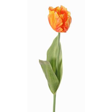 Umělá květina papoušek tulipán UAKARI, oranžovo-žlutá, 65cm, Ø6cm Umělá květina papoušek tulipán UAKARI, oranžovo-žlutá, 65cm, Ø6cm