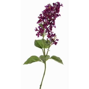 Dekorativní šeříková větev ADMIR, tmavě fialová, 80cm, Ø6-9cm Dekorativní šeříková větev ADMIR, tmavě fialová, 80cm, Ø6-9cm