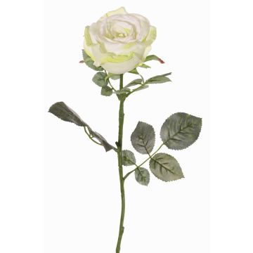 Textilní růže HUSA, bílo-zelená, 75cm, Ø10cm