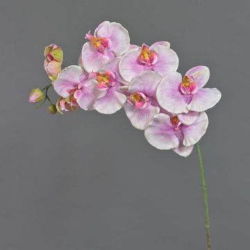 Dekorativní větvička orchideje Phalaenopsis WESA, růžovo-bílá, 100cm