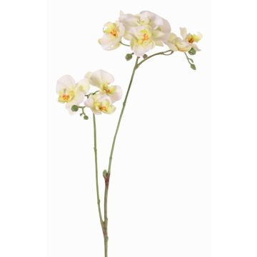Umělá větev orchideje Phalaenopsis VILLANI, bílo-zelená, 60cm, Ø3,5-5cm
