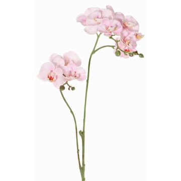 Umělá větev orchideje Phalaenopsis VILLANI, růžovobílá, 60cm, Ø3,5-5cm