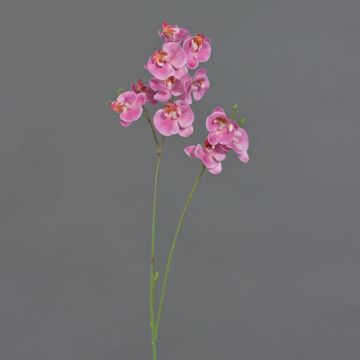 Uměl&aacute; větev orchideje Phalaenopsis VILLANI, růžovo-růžov&aacute;, 65cm