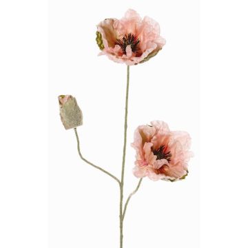 Dekorativní mák MODLING, růžový, 75cm, Ø12cm