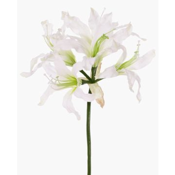 Umělý zahradní amarylis KUSTANA, bílý, 70cm, Ø20cm Umělý zahradní amarylis KUSTANA, bílý, 70cm, Ø20cm