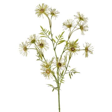 Umělá sedmikráska KORNELA, zelená, 70cm, Ø6cm Umělá sedmikráska KORNELA, zelená, 70cm, Ø6cm