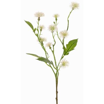 Umělá křídlatka luční HOLLA, bílá, 55cm, Ø3-4cm Umělá křídlatka luční HOLLA, bílá, 55cm, Ø3-4cm