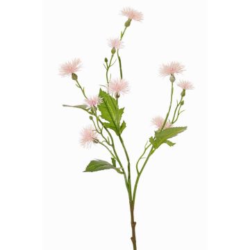Umělý křídlatka luční HOLLA, světle růžová, 55cm, Ø3-4cm Umělý křídlatka luční HOLLA, světle růžová, 55cm, Ø3-4cm