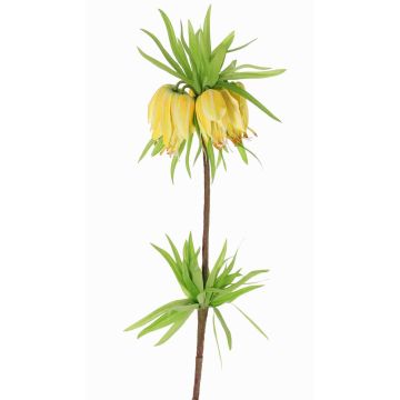 Textilní květinová císařská koruna IMST, žlutá, 65cm, Ø11cm Textilní květinová císařská koruna IMST, žlutá, 65cm, Ø11cm