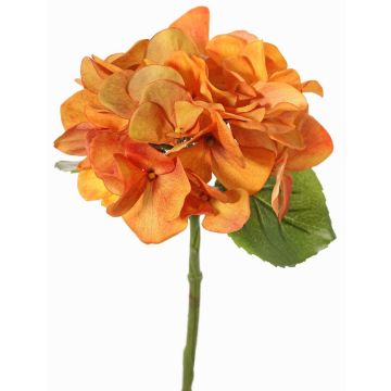 Plastová hortenzie CHIDORI, oranžová, 30cm, Ø13cm Plastová hortenzie CHIDORI, oranžová, 30cm, Ø13cm