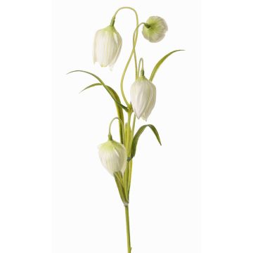Umělý květ šáchoru SANEM, bílý, 45cm, Ø3cm Umělý květ šáchoru SANEM, bílý, 45cm, Ø3cm
