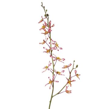 Umělá větev orchideje Cattleya TRASSA, růžovo-bílo-žlutá, fialovo-bílo-žlutá, 80cm, Ø4-8cm