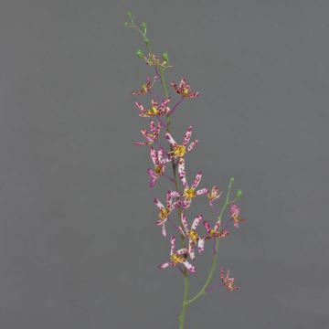 Umělá větev orchideje Cattleya TRASSA, růžovo-bílo-žlutá, 80cm Umělá větev orchideje Cattleya TRASSA, růžovo-bílo-žlutá, 80cm