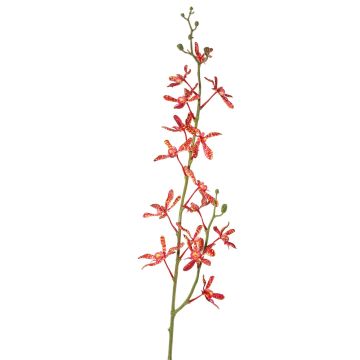 Umělá větev orchideje Cattleya TRASSA, červenooranžová, 80cm, Ø4-8cm Umělá větev orchideje Cattleya TRASSA, červenooranžová, 80cm, Ø4-8cm
