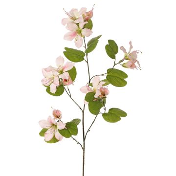Umělá větev Bauhinia ENSANA, jemně růžová, 120cm Umělá větev Bauhinia ENSANA, jemně růžová, 120cm