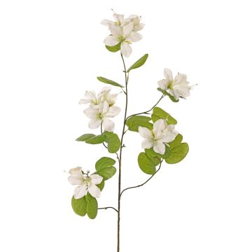 Umělá větev Bauhinia ENSANA, bílá, 120cm Umělá větev Bauhinia ENSANA, bílá, 120cm