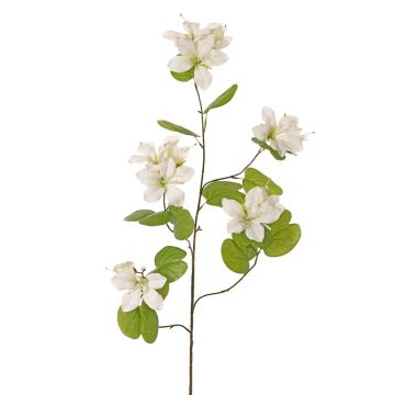 Umělá větev Bauhinia ENSANA, bílá, 120cm
