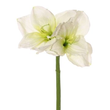 Dekorativní amarylis NARWELA, bílo-zelená, 70cm, Ø10-13cm Dekorativní amarylis NARWELA, bílo-zelená, 70cm, Ø10-13cm