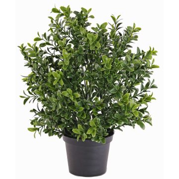 Umělý zimostráz TOM, pro interiér i exteriér, 30cm, Ø20cm Umělý zimostráz TOM, pro interiér i exteriér, 30cm, Ø20cm