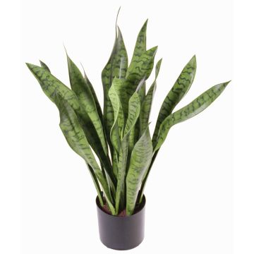Umělý tchýnin jazyk BEYZA, zelené, 80cm Umělý tchýnin jazyk BEYZA, zelené, 80cm