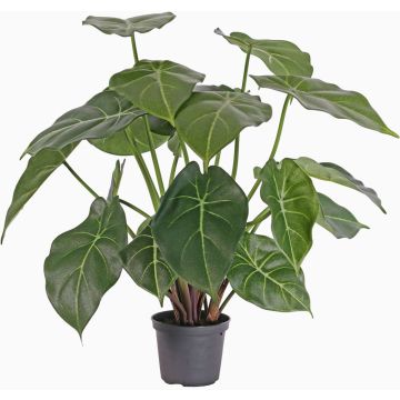 Umělá rostlina syngonium PERAMI, zelená, 45cm Umělá rostlina syngonium PERAMI, zelená, 45cm