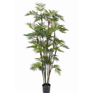 Umělá palma chamaedorea NAYELI, 200cm