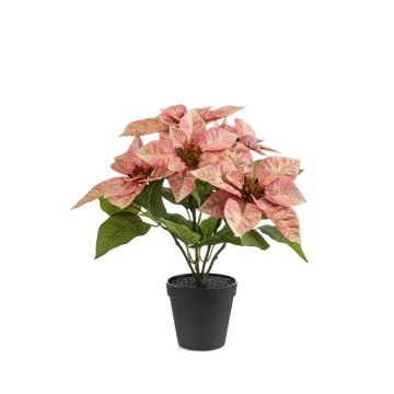 Umělá poinsettie GRULEN v dekorativním květináči, broskvová, 40cm