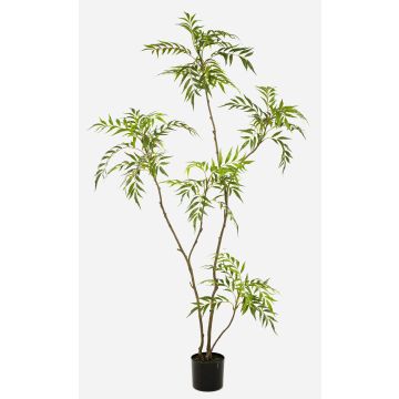 Umělá mahonie KLEANA, umělé stonky, zelená, 180cm Umělá mahonie KLEANA, umělé stonky, zelená, 180cm