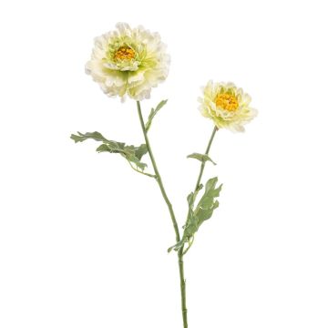 Dekorativní květina ranunculus LOLYN, zeleno-krémová, 65 cm Dekorativní květina ranunculus LOLYN, zeleno-krémová, 65 cm