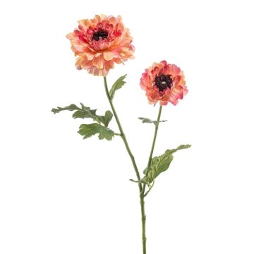 Dekorativní květina ranunculus LOLYN, broskvově růžová, 65 cm Dekorativní květina ranunculus LOLYN, broskvově růžová, 65 cm
