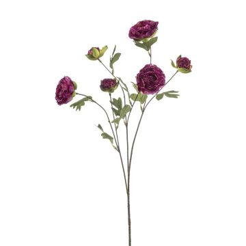 Umělá větvička ranunculus DAVELLA, tmavě fialová, 80 cm Umělá větvička ranunculus DAVELLA, tmavě fialová, 80 cm