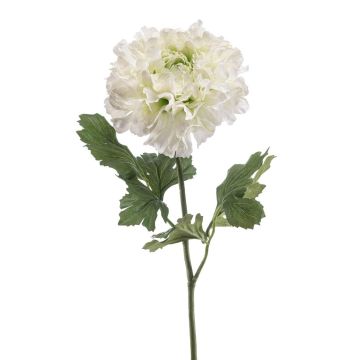 Umělá ranunculus ULISAN, krémově zelená, 60 cm, Ø 14 cm Umělá ranunculus ULISAN, krémově zelená, 60 cm, Ø 14 cm