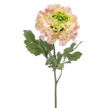 Umělá ranuncula ULISAN, růžovo-zelená, 60cm, Ø14cm Umělá ranuncula ULISAN, růžovo-zelená, 60cm, Ø14cm
