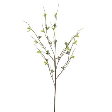 Umělá větvička břízy SIVANI, zelená, 90 cm Umělá větvička břízy SIVANI, zelená, 90 cm