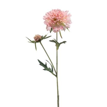 Umělá větvička scabiosa BASOLO, růžovo-krémová, 55 cm